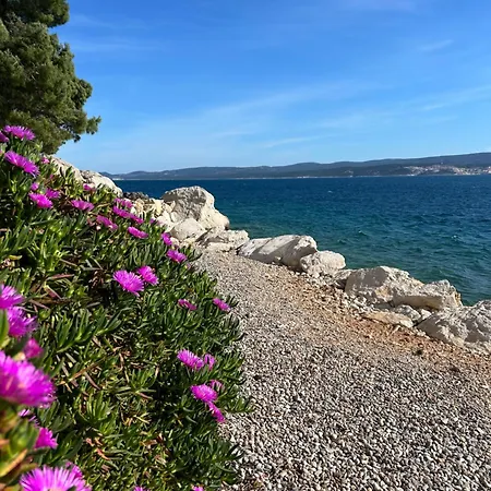 Sunny Hill With Rooftop Pool Lejlighed *